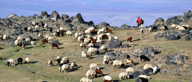 mount-ararat-1259335_960_720